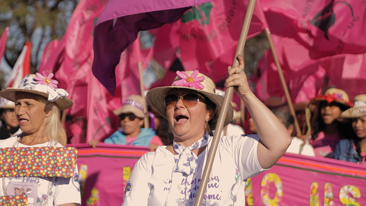 O CANTO DAS MARGARIDAS